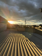 PURITY - ほたるの女の子ブログ画像