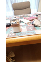 PURITY - ほたるの女の子ブログ画像