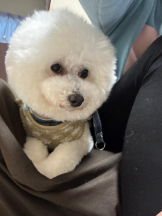 PURITY - ほたるの女の子ブログ画像