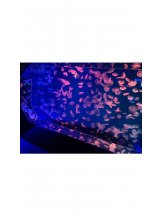 PURITY - ほたるの女の子ブログ画像