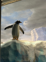 PURITY - ほたるの女の子ブログ画像