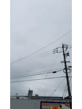 PURITY - ほたるの女の子ブログ画像