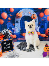 PURITY - ほたるの女の子ブログ画像