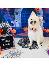 PURITY - ほたるの女の子ブログ画像