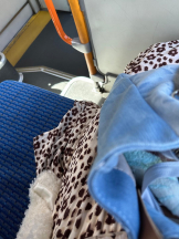 PURITY - ほたるの女の子ブログ画像