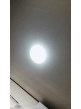 PURITY - ほたるの女の子ブログ画像