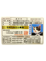 PURITY - ほたるの女の子ブログ画像