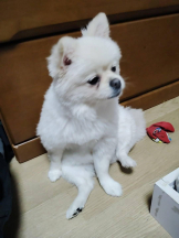 PURITY - ほたるの女の子ブログ画像