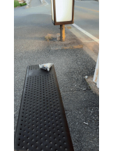 PURITY - ほたるの女の子ブログ画像