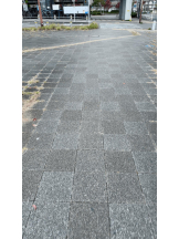 PURITY - ほたるの女の子ブログ画像