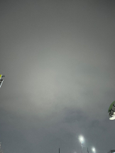 PURITY - ほたるの女の子ブログ画像