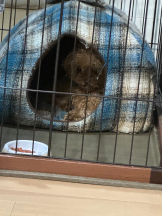 PURITY - ほたるの女の子ブログ画像