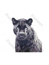 PURITY - ほたるの女の子ブログ画像