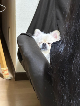 PURITY - ほたるの女の子ブログ画像