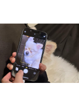 PURITY - ほたるの女の子ブログ画像