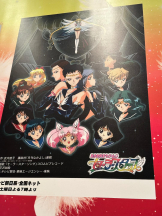 PURITY - ほたるの女の子ブログ画像