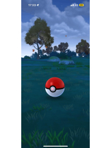 PURITY - ほたるの女の子ブログ画像