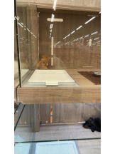 PURITY - ほたるの女の子ブログ画像