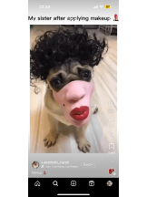 PURITY - ほたるの女の子ブログ画像