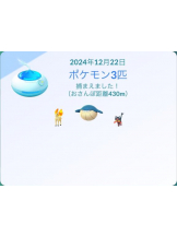 PURITY - ほたるの女の子ブログ画像