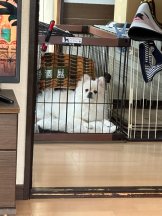 PURITY - ほたるの女の子ブログ画像