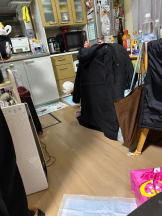 PURITY - ほたるの女の子ブログ画像