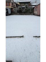 PURITY - ほたるの女の子ブログ画像