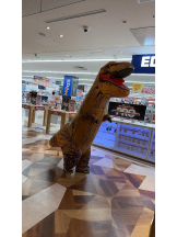 PURITY - ほたるの女の子ブログ画像