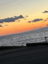 PURITY - ほたるの女の子ブログ画像