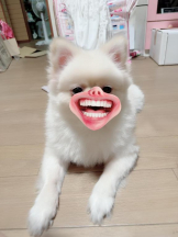 PURITY - ほたるの女の子ブログ画像