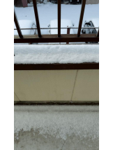 PURITY - ほたるの女の子ブログ画像