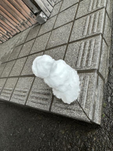 PURITY - ほたるの女の子ブログ画像