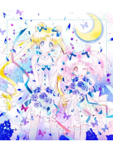 PURITY - ほたるの女の子ブログ画像