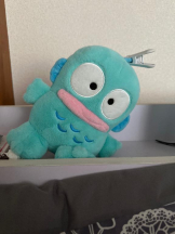 PURITY - ほたるの女の子ブログ画像