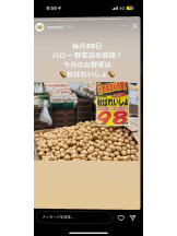 PURITY - ほたるの女の子ブログ画像