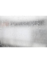 PURITY - ほたるの女の子ブログ画像