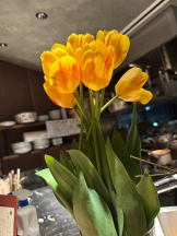 PURITY - ほたるの女の子ブログ画像