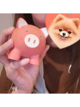 PURITY - ほたるの女の子ブログ画像