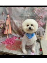 PURITY - ほたるの女の子ブログ画像