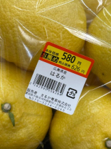 PURITY - ほたるの女の子ブログ画像