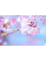 PURITY - ほたるの女の子ブログ画像