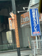 PURITY - ほたるの女の子ブログ画像