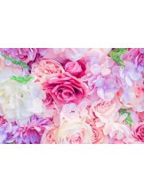 PURITY - ほたるの女の子ブログ画像