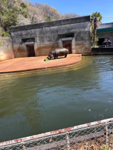 PURITY - ほたるの女の子ブログ画像