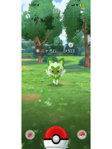 PURITY - ほたるの女の子ブログ画像