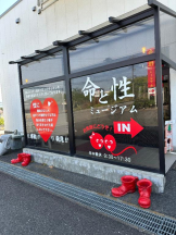 PURITY - ほたるの女の子ブログ画像