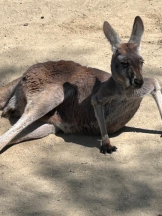 PURITY - ほたるの女の子ブログ画像