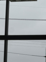 PURITY - ほたるの女の子ブログ画像