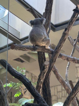 PURITY - ほたるの女の子ブログ画像