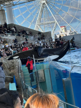 PURITY - ほたるの女の子ブログ画像